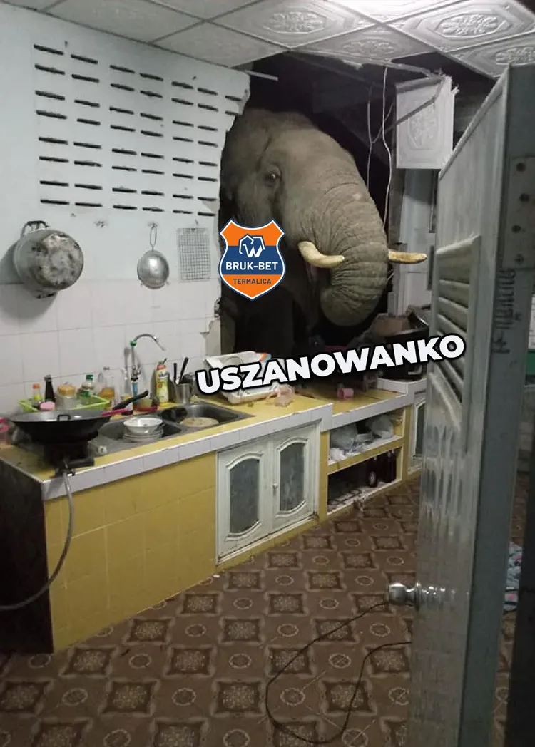 Termalica Bruk-Bet Nieciecza kolejnym beniaminkiem!