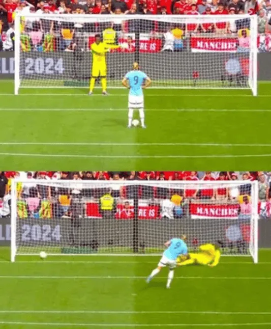 Onana w skrócie.