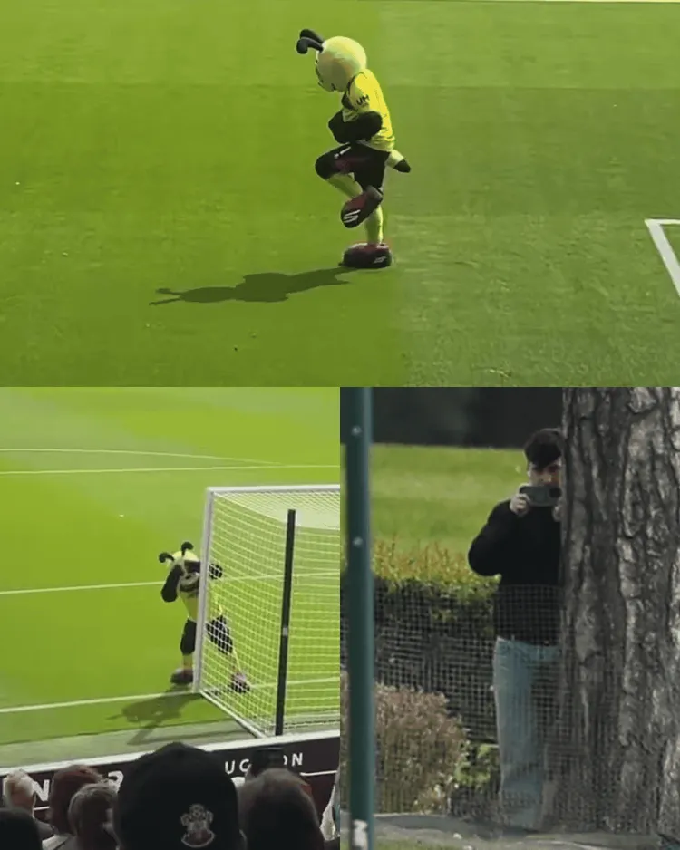 Maskotka Watford zadrwiła z kibiców Southampton!